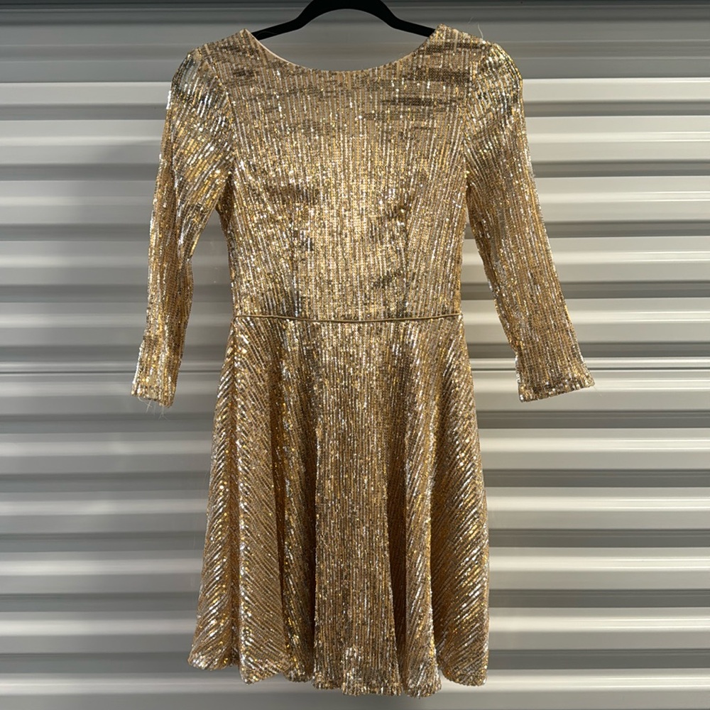 Silver and Gold Holiday/Party Dress